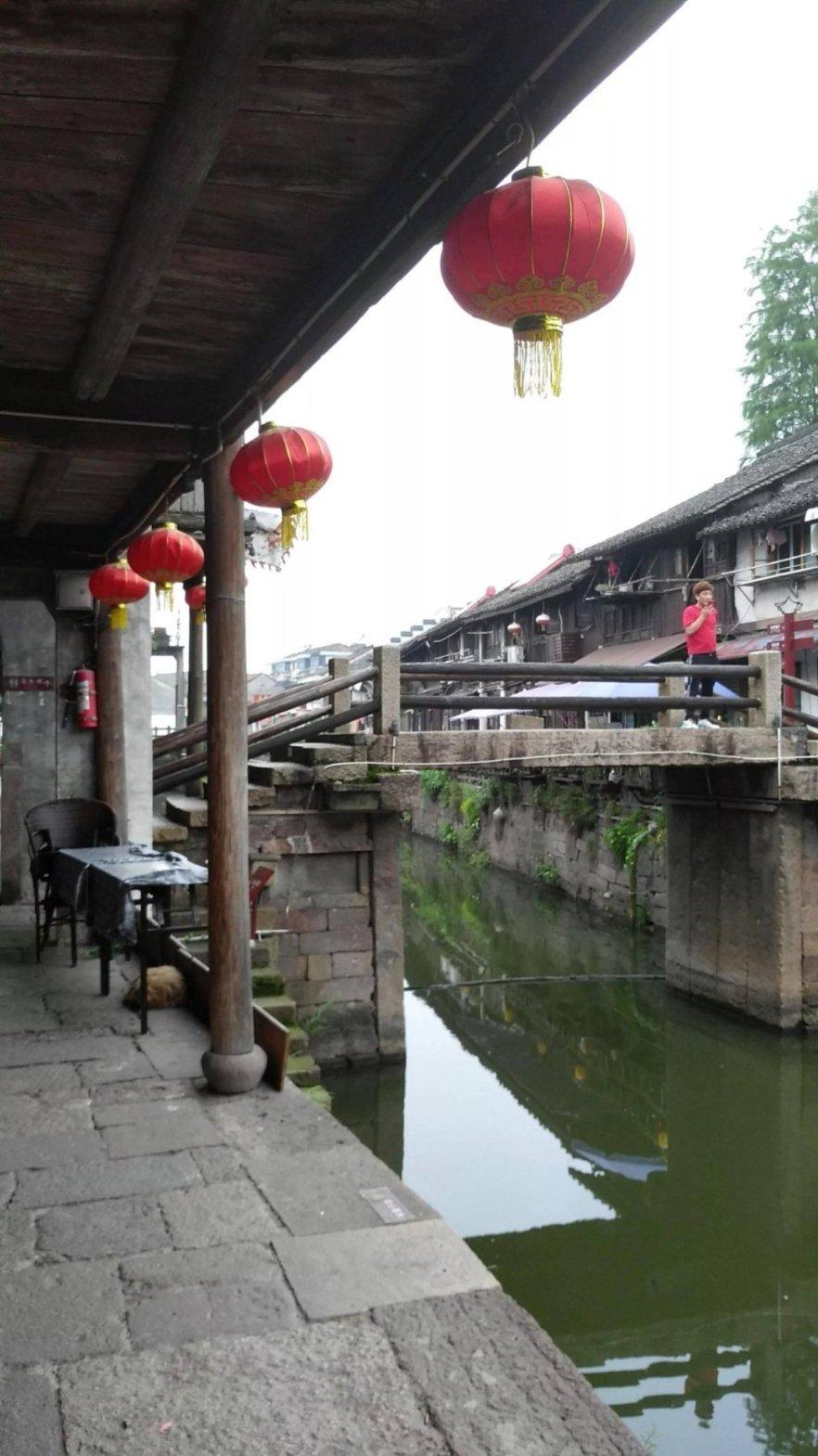 僵尸跳跳跳